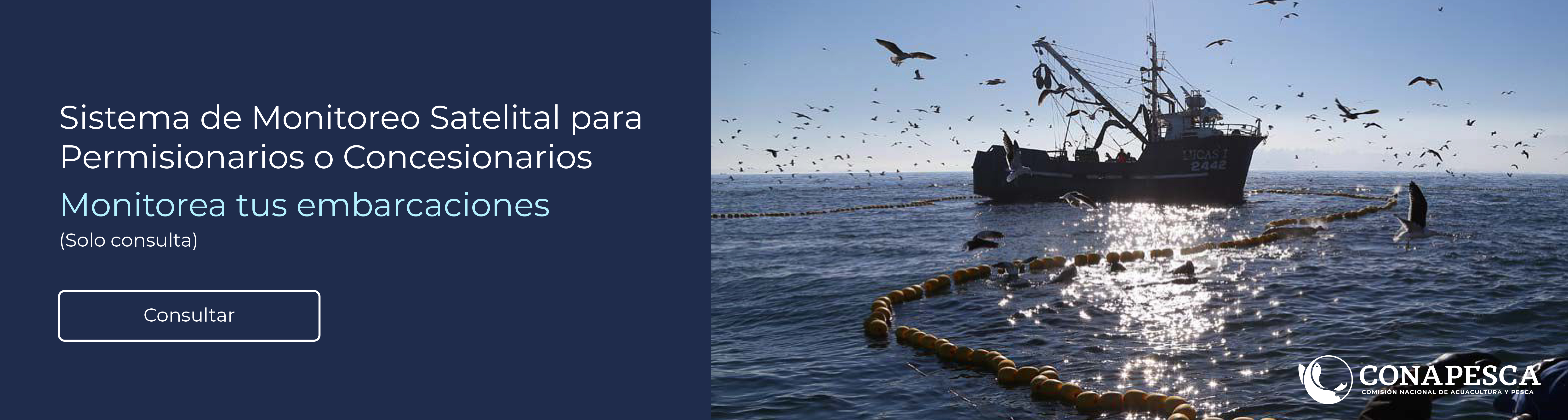 Conapesca