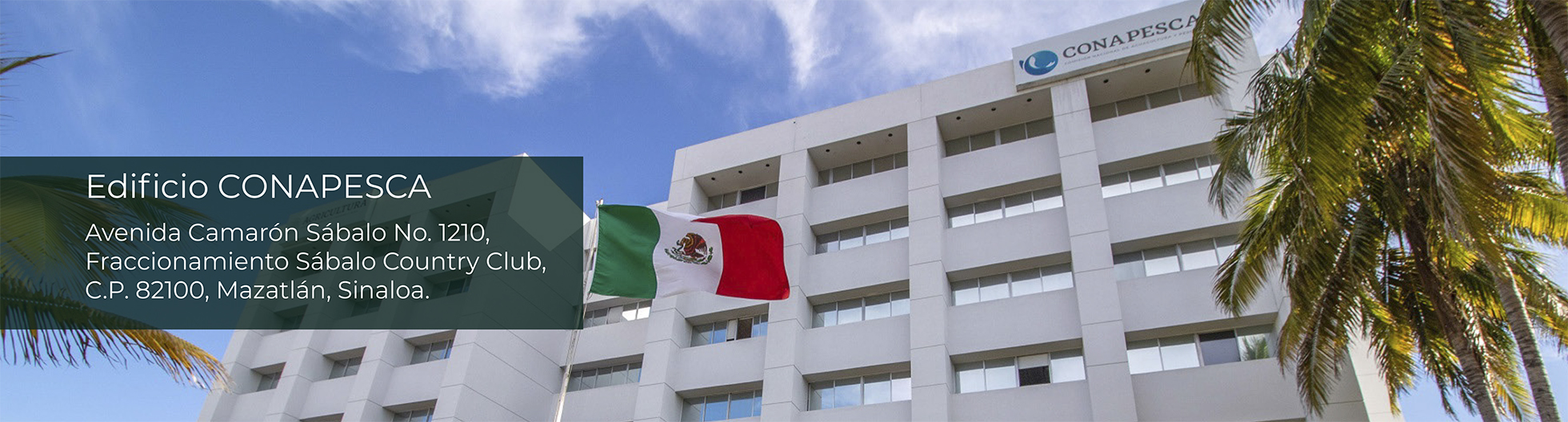 Conapesca