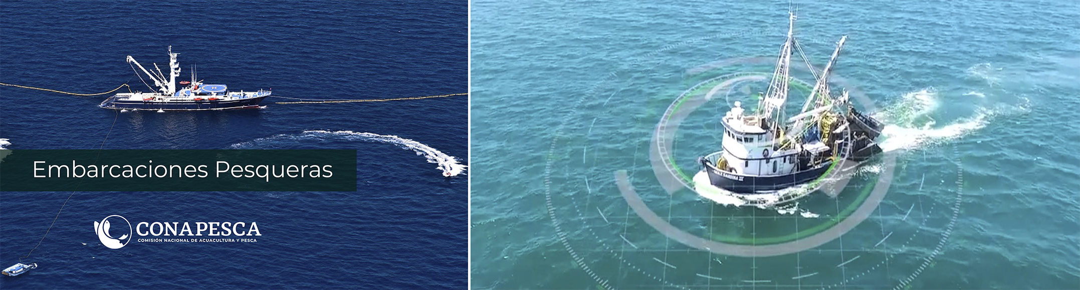 Conapesca