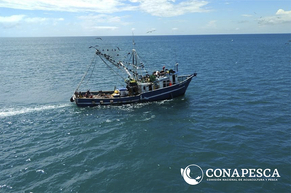 Descripción de la imagen